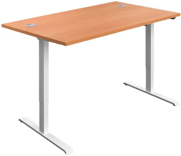 TC Economy Single Motor Sit Stand Desk - 1200 x 800