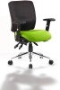 Dynamic Chiro Bespoke Chair with Height Adjustable Arms - Myrrh Green