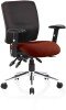 Dynamic Chiro Bespoke Chair with Height Adjustable Arms - Ginseng Chilli