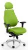 Dynamic Chiro Plus Ultimate Chair - Bespoke Fabric - Myrrh Green