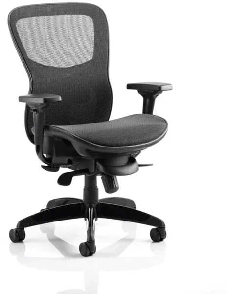 Dynamic Stealth Ergo Posture Mesh Chair