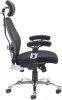 Dams Sandro Mesh Back Executive Chair With Air Mesh Seat And Head Rest