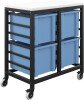 Titan 4 Draw Extra Deep F25 Tray Royal Blue Mobile Storage Unit Black Frame White Top