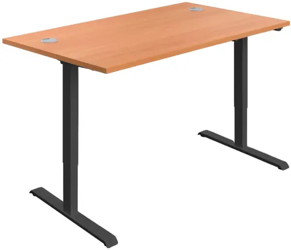 TC Economy Single Motor Sit Stand Desk - 1200 x 800