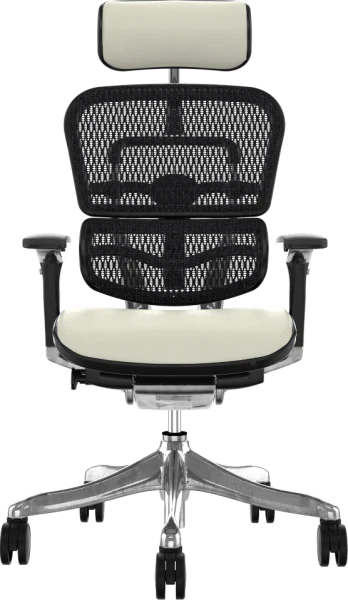 Comfort Ergohuman 2010 Mesh Ergonomic Chair with Headrest - White