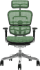 Comfort Ergohuman 2010 Mesh Ergonomic Chair with Headrest - Green