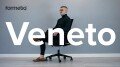 Formetiq Veneto mesh back office task chair
